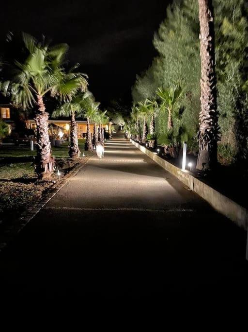 Grande Villa St-Tropez Area Avec Piscine Chauffee กาสแซ็ง ภายนอก รูปภาพ